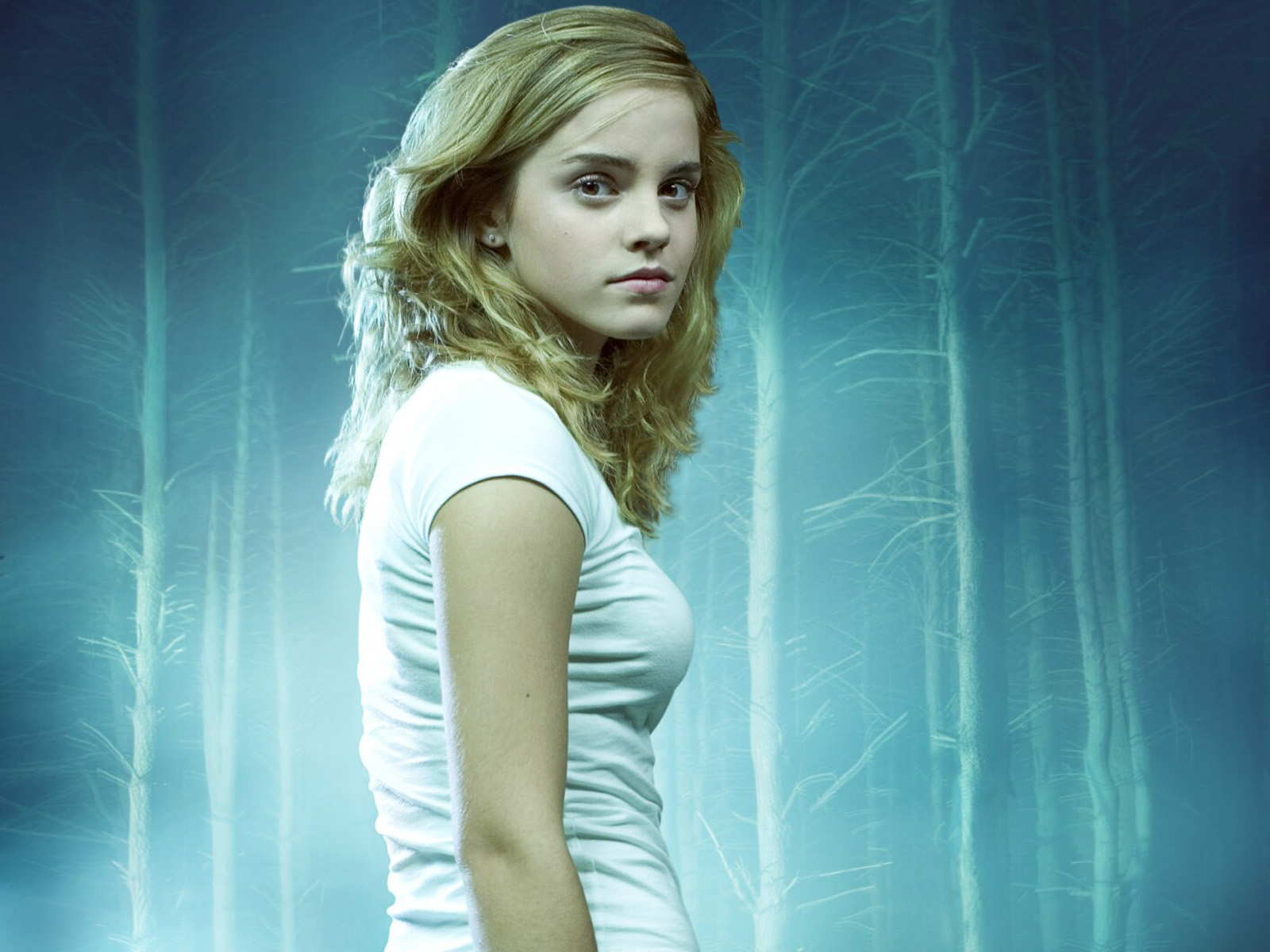 For Download clik the image>save.
